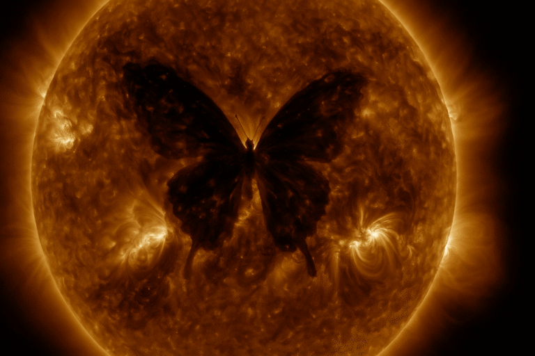 butterfly shape on sun